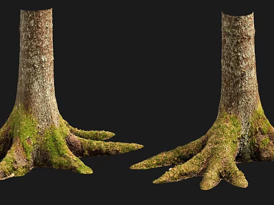 Moss Covered Wood Trunk Bases With Natural Stone Texture And Roots 3d model