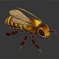 Detailed Illustration Of A Honey Bee With Transparent Wings And Striped Body