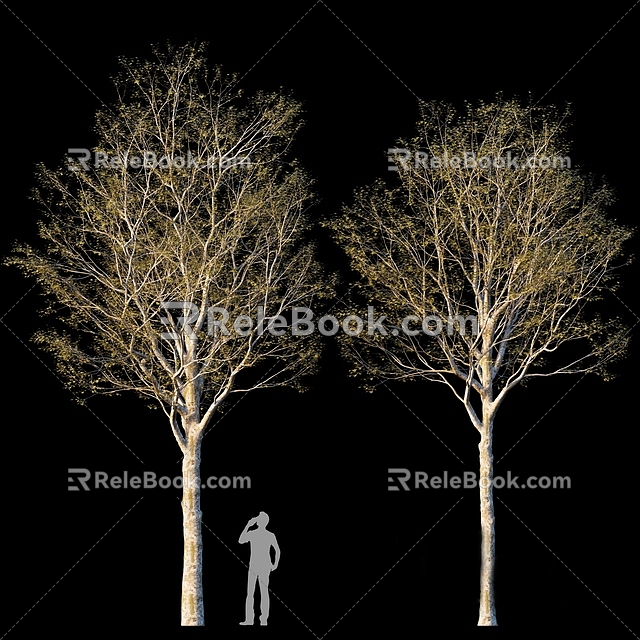 Plants Green Plants Trees Big Trees Big Crown Trees Trees 3d model