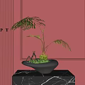 Bonsai Potted Plant with Green Foliage on Black Marble Table Against Red Wall