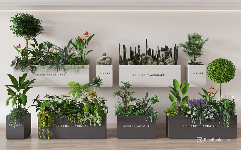 Different Types Of Bonsai Potted Plants With Cactus Ferns Small Trees In Leisure Place Planters 3d model 