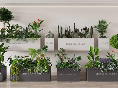 Different Types Of Bonsai Potted Plants With Cactus Ferns Small Trees In Leisure Place Planters 3d model