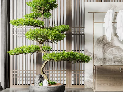 Lush Bonsai Tree With Curved Trunk In Gray Pot Stones And Indoor Wooden Lattice 3d model
