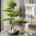 Lush Bonsai Tree With Curved Trunk In Gray Pot Stones And Indoor Wooden Lattice