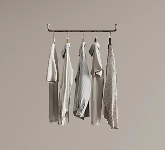 Modern Clothes Hanging Bar Clothing 3d model