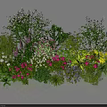 Vibrant Mixed Flowers And Green Plants In Lush Garden Bloom Arrangement