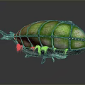 Unique Green Shell Aquatic Animal With Transparent Segmented Shell And Bottom Aquatic Plants 3d model