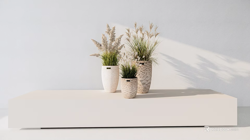 Bonsai Potted Plants with Textured Ceramic Pots on White Table Against Minimalist White Wall Background 3d model 