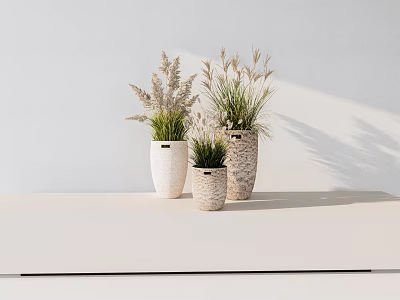 Bonsai Potted Plants with Textured Ceramic Pots on White Table Against Minimalist White Wall Background 3d model