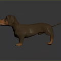 3D Model Dachshund Dog With Brown Orange Fur Standing On Dark Shiny Surface