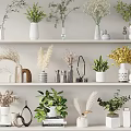 Stylish Vases With Various Flowers And Green Plants Arranged On White Shelves Interior