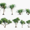 Various Tree Forms in Different Sizes Displaying Leafy Crowns Trunks Root Systems and Human Silhouettes 3d model