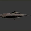 Whole Fresh Pinkish Red Fish With Spiky Fins And Large Eyes On Gray Background