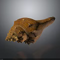 Brownish Orange Conch Spiral Shell With Detailed Texture Shiny Surface Close Up On Dark Background