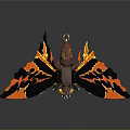 Mythical Dragon Character Flying With Orange Black Fire Wings And Detailed Claws