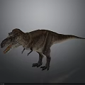 Tyrannosaurus Rex Dinosaur Standing On Gray Background With Open Mouth And Brown Orange Skin