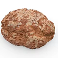 Delicious Homemade Round Bread Topped With Fresh Crunchy Almond Slices