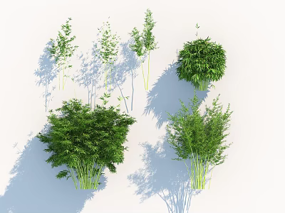 Various Green Bamboo Plant Types With Lush Leaves And Different Heights 3d model