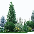 High-grade blue and gray flower border plant with grapefruit tree shrub flower mirror combination courtyard greening plant configuration 3d model