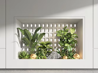 Indoor Landscape Landscaping Landscape Landscaping Landscape Plants Moss Landscape 3d model
