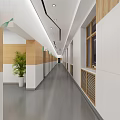 Modern Hospital Outpatient Clinic Corridor With Wooden White Walls Green Plant And Lighting