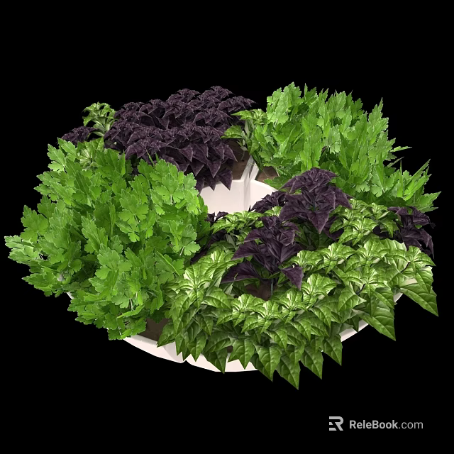 Bonsai Planter with Green and Purple Foliage in Circular Arrangement for Indoor Decor 3d model 