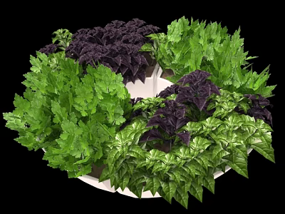 Bonsai Planter with Green and Purple Foliage in Circular Arrangement for Indoor Decor 3d model