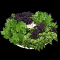 Bonsai Planter with Green and Purple Foliage in Circular Arrangement for Indoor Decor
