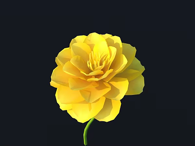 Vibrant Yellow Flower with Layers of Petals and Green Stem on Black Background 3d model