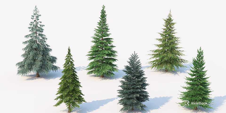 Various Types Of Evergreen Trees With Green Foliage And Different Heights 3d model 