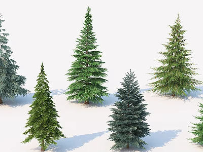 Various Types Of Evergreen Trees With Green Foliage And Different Heights 3d model