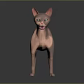 Realistic Pink Sphynx Cat Standing With Smooth Skin On Dark Background 3d model