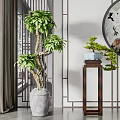 Chinese Style Bonsai Potted Plants with Decorative Wooden Stand and Background Wall