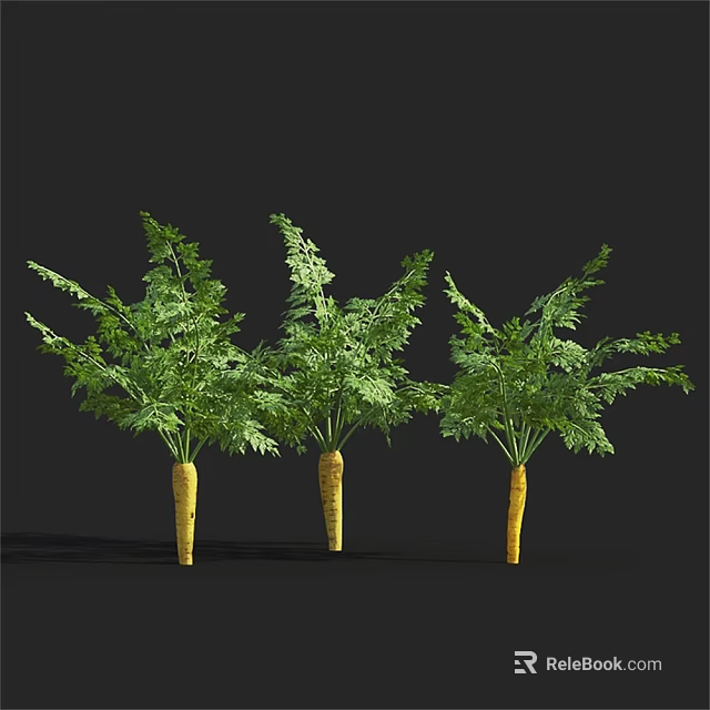 Three Fresh Carrots With Green Leafy Tops On Black Background 3d model 