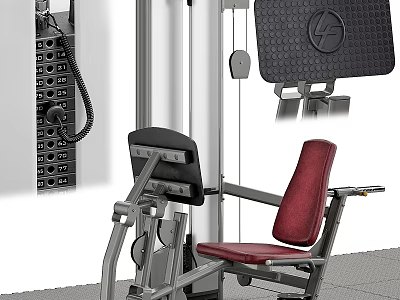 Professional Seated Sports Equipment Machine With Red Seat And Black Padding 3d model