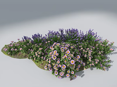 Colorful Flower Arrangement with Purple Lavender and Pink Daisies on Green Grass for Garden Decor 3d model