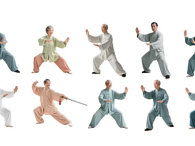 People Practicing Tai Chi With Various Stances And Traditional Clothing 3d model