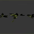 Three Fresh Green Leaf Plants With Slender Stems On Gray Background