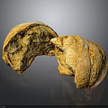 Fresh Baked Bread Two Sliced Pieces Golden Crust Soft Porous Interior on Black Surface