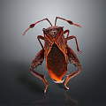 Unique Brown And Red Insect With Patterned Body And Long Detailed Legs