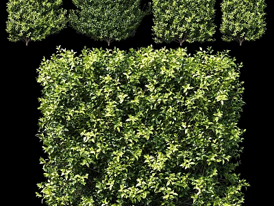 Decorative Green Plant Ornament Set With Trimmed Shrub Design For Garden Decor 3d model