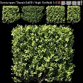 Decorative Green Plant Ornament Set With Trimmed Shrub Design For Garden Decor