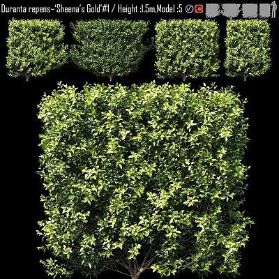 Decorative Green Plant Ornament Set With Trimmed Shrub Design For Garden Decor 3d model