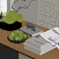 Black Vase With White Flowers And Green Spherical Plants On Wooden Table With Geometric Painting