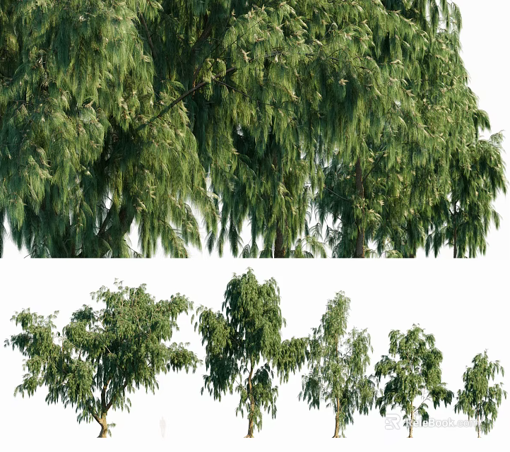 Lush Green Arbor Collection Featuring Weeping Willows And Various Tree Species 3d model 