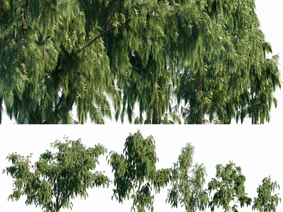 Lush Green Arbor Collection Featuring Weeping Willows And Various Tree Species 3d model