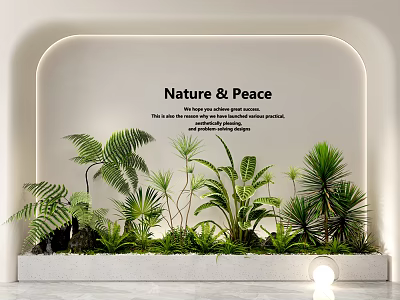 Indoor Plant Combination With Ferns Palms And Small Green Plants For Nature And Peace Interior 3d model