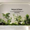 Indoor Plant Combination With Ferns Palms And Small Green Plants For Nature And Peace Interior