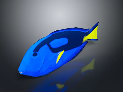 Vibrant Blue Tang Fish With Yellow Tail And Fins In Aquarium 3d model