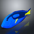 Vibrant Blue Tang Fish With Yellow Tail And Fins In Aquarium